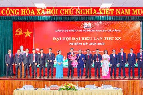 Đại hội Đảng bộ DRC nhiệm kỳ 2025-2030: Xây dựng doanh nghiệp đổi mới, sáng tạo