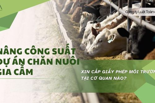 Điều kiện nâng công suất dự án chăn nuôi gia cầm: Xin cấp giấy phép môi trường tại đơn vị nào?