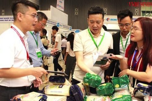 Không để hàng giả tiếp tục 'giết chết' những doanh nghiệp làm ăn chân chính