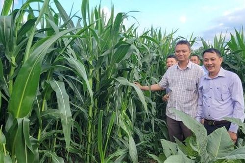 Đổi thay từ chương trình nông thôn mới ở huyện Đồng Xuân