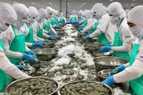 Triển khai gói tín dụng 100.000 tỷ đồng cho nông, lâm, thủy sản
