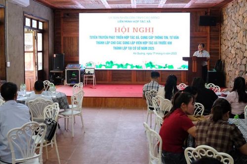 Tuyên truyền phát triển hợp tác xã tại huyện Hà Quảng
