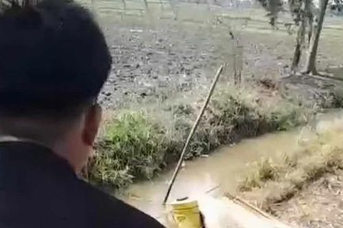 Bẫy chuột thành... bẫy người