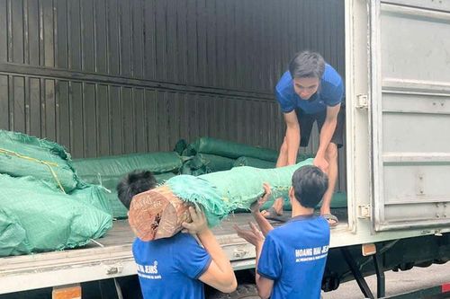 Phát hiện xe ô tô vận chuyển hàng tấn gỗ trắc