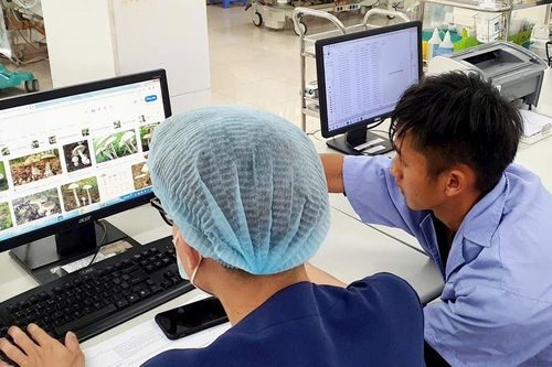 Bộ Y tế: Tăng cường phòng chống ngộ độc thực phẩm do độc tố tự nhiên