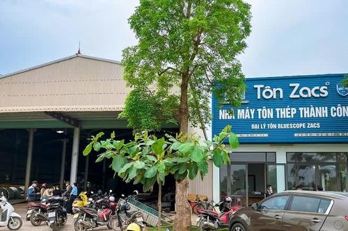 Quảng Bình: một công nhân tử vong do bị máy cuốn tại nhà máy tôn Thành Công