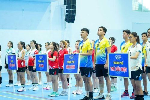 14 đội tham dự Giải vô địch Bóng chuyền nam-nữ tại Bình Dương