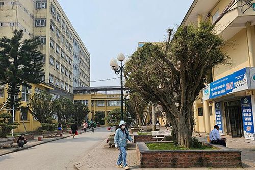 Thanh Hóa khuyến cáo tra cứu nguồn gốc, mua, sử dụng thuốc theo đơn