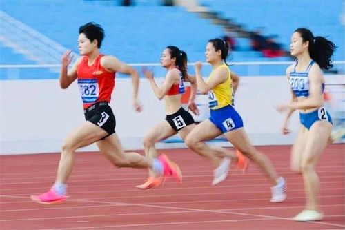 Chuyên gia sẽ tham gia góp ý cho Đề án phát triển điền kinh Việt Nam