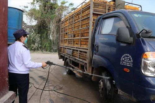 Hà Nội có hơn 700 cơ sở giết mổ nhưng chỉ hơn 20% được kiểm soát