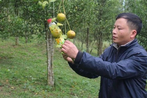 Hơn 100 lá đơn xin thoát nghèo ở huyện xa nhất của Thanh Hóa
