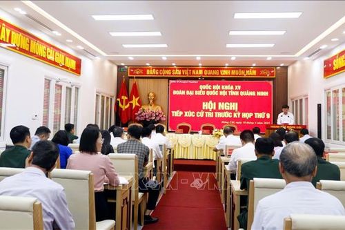 Cử tri đề nghị kiểm soát, xử lý nghiêm việc sản xuất, buôn bán hàng giả