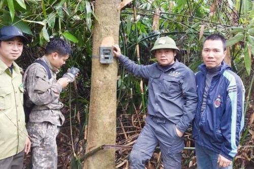 Người thầm lặng bảo vệ 'lá phổi' ở VQG Vũ Quang - Kỳ 2: Những cuộc giải cứu thầm lặng
