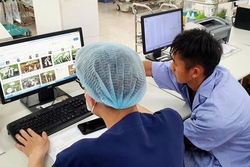 Hái nấm rừng về ăn, hai vợ chồng trẻ hôn mê sâu