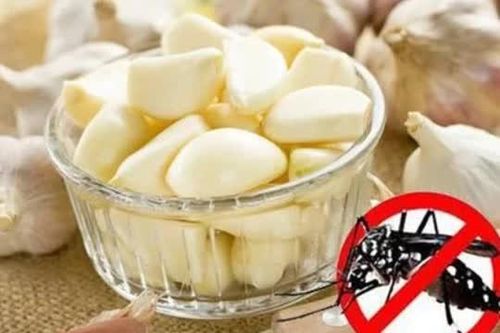 Mẹo đuổi muỗi hiệu quả bằng nguyên liệu tự nhiên, an toàn cho cả gia đình
