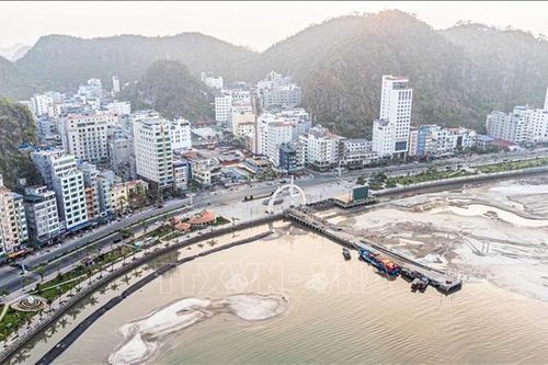 Từ 18/4, miễn phí tuyến xe điện mới cho du khách tại đảo Cát Bà, Hải Phòng