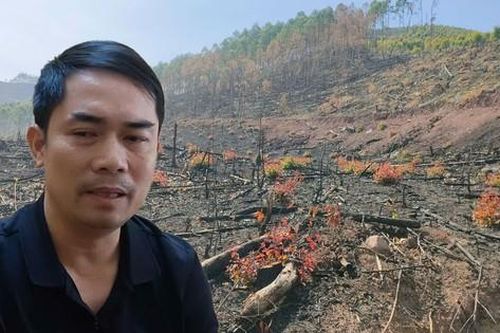 Bắc Giang: Mở rộng điều tra vụ 1.000ha đất có rừng tự nhiên bị hủy hoại