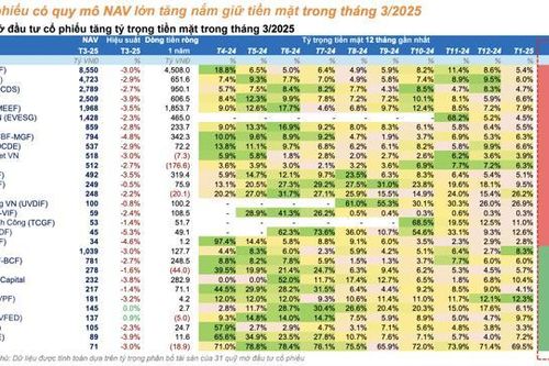 Thị trường khó lường, gần 20 quỹ cổ phiếu 'ôm' tiền mặt cao chưa vội giải ngân