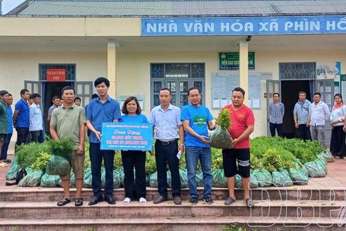 Góp sức phủ xanh đất trống, đồi núi trọc