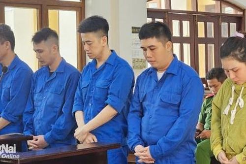 Lập 'dự án ma', chiếm đoạt hơn 8,8 tỷ đồng