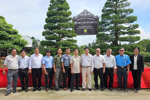 Doanh nhân Cựu chiến binh đoàn kết, giúp nhau làm kinh tế và giảm nghèo