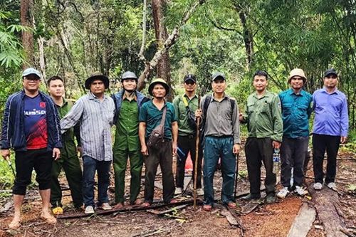 Gian nan hành trình 'vén màn' tội ác