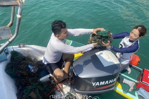 Thu gom 100kg ngư cụ mắc vào san hô ở khu vực biển Hòn Chồng