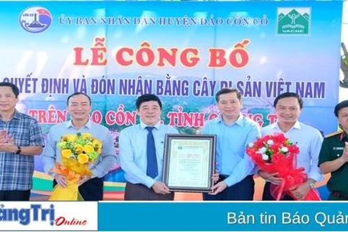 17 cây xanh ở huyện đảo Cồn Cỏ được công nhận Cây di sản Việt Nam