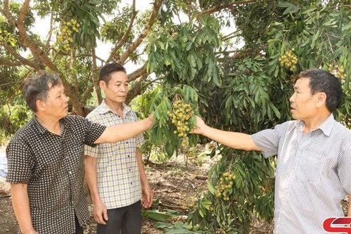Người có uy tín nêu gương sáng vùng biên giới
