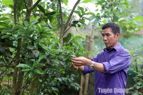Chuyện vận động của ông Lâm