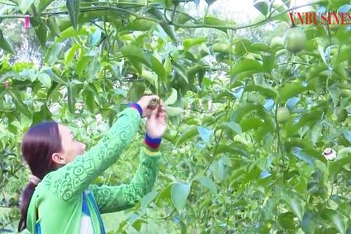 Công nghệ len lỏi đến từng nương rẫy, đồng bào dân tộc thiểu số tỉnh Điện Biên chuyển mình