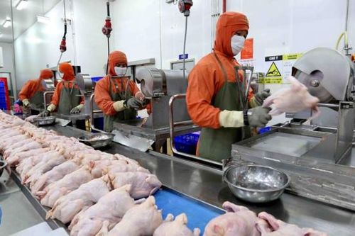 Hà Nội còn 578 cơ sở giết mổ động vật không phép