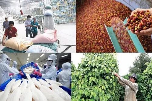 100.000 tỷ đồng sắp chảy vào lĩnh vực nông, lâm, thủy sản