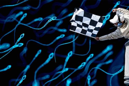 Nhóm triệu phú Mỹ livestream cuộc đua tinh trùng đầu tiên trên thế giới
