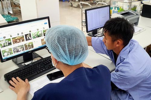 Hôn mê sau bữa cơm có nấm rừng
