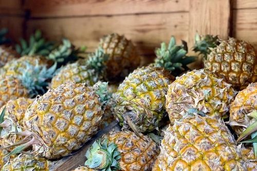 Dứa vào vụ giá vẫn cao vút, tiểu thương 'dè dặt' nhập hàng vì sợ lỗ vốn