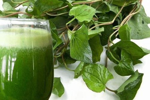 Các loại nước uống thanh nhiệt mát gan cực tốt