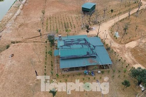 Đối tượng chiếm đất, đe dọa cán bộ: Vừa bị điều tra, vừa thêm giấy phạt