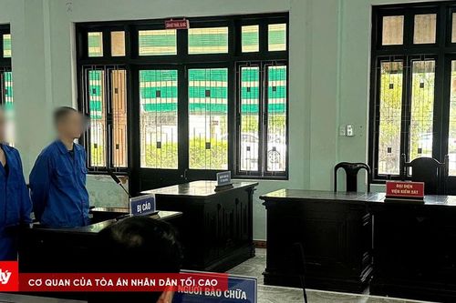 Đôi bạn học rủ nhau mua bán ma túy