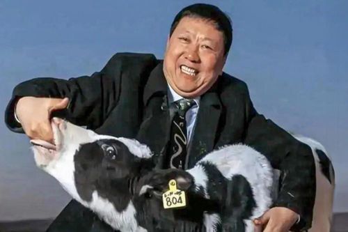 'Bố già ngành sữa' của Trung Quốc làm nên chuyện nhờ phản bội lại lẽ thường