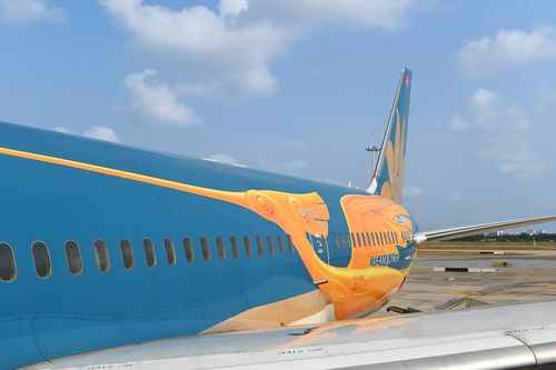 Vietnam Airlines khai trương nhà ga T3 bằng chuyến bay mang hình ảnh Chim Lạc