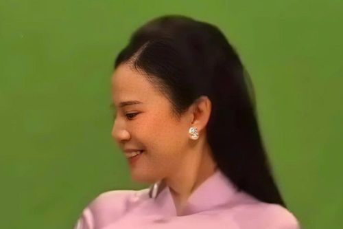MC Bích Hồng gây phẫn nộ vì phát ngôn diễu binh gây kẹt xe