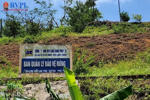 'Hô biến' đất trồng rừng thành đất sản xuất tại Phú Yên - Kỳ 1: Biến tướng dự án trồng rừng