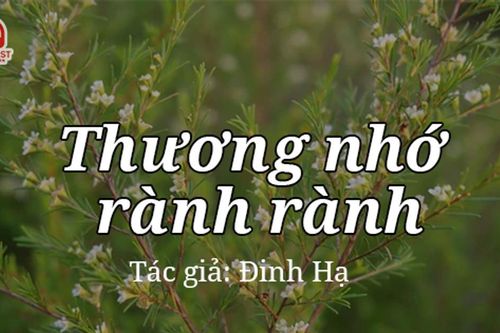 Tản văn hay: Thương nhớ rành rành