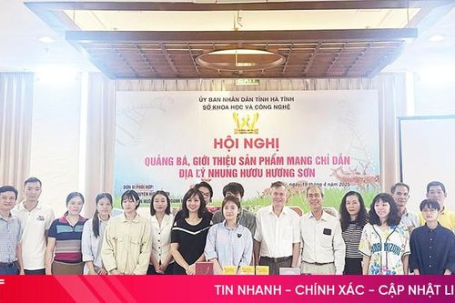 Đưa nhung hươu Hương Sơn đến khách hàng tiềm năng tại Hà Nội