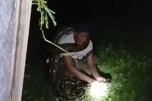 CLIP: Cố gắng bắt trăn gấm 'khủng', người đàn ông bị siết đến tử vong