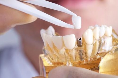 Nuôi cấy thành công 'răng người' trong miệng lợn