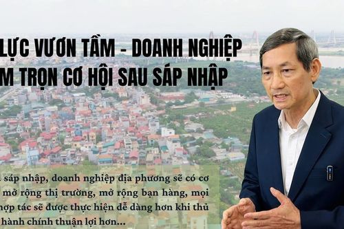 Chiến lược sống còn với doanh nghiệp phải đa dạng hóa thị trường, không 'bỏ hết trứng vào một giỏ'