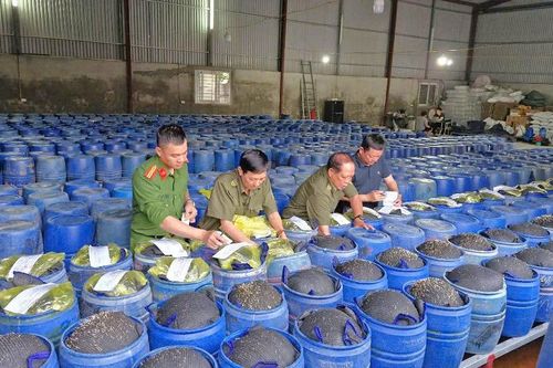 'Nàng công chúa' bị nhiễm độc