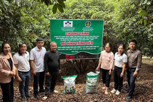 Supe Lâm Thao trình diễn phân bón vi sinh Lâm Thao NPK-S cho cây vải và cây nhãn tại Bắc Giang